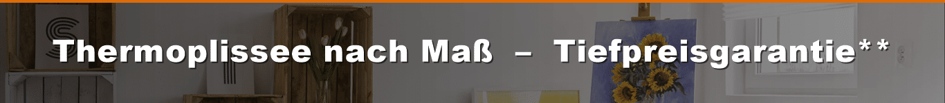 Thermo Plissees nach Maß online günstig kaufen.