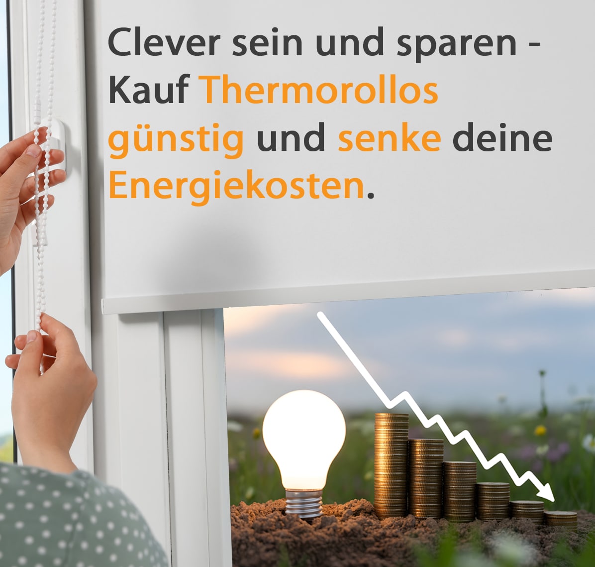 Energiesparrollos günstig auf Maß bei derSonnenschutz.de