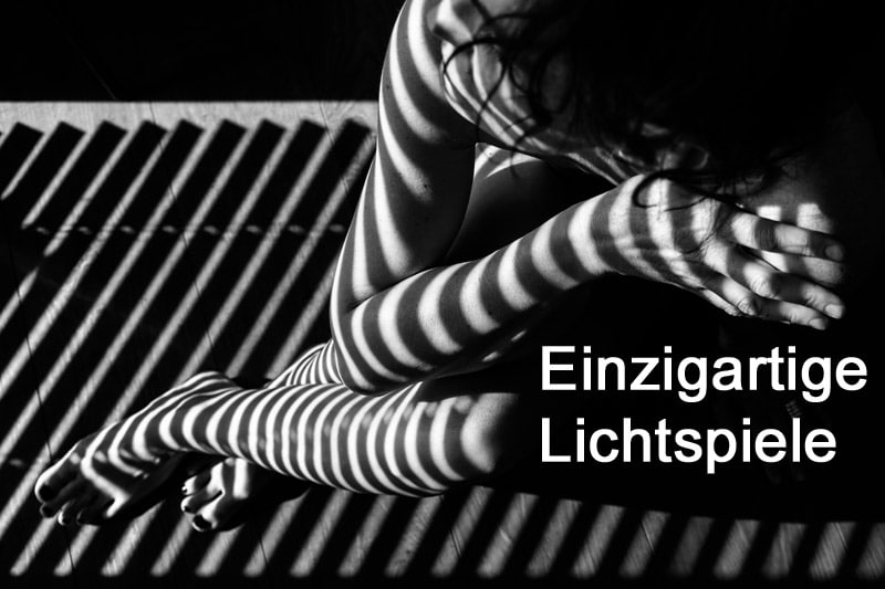 Alu Jalousie Licht