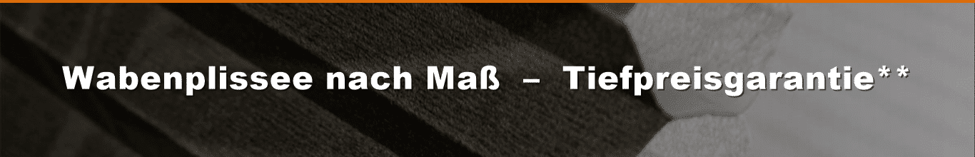Banner Wabenplissee