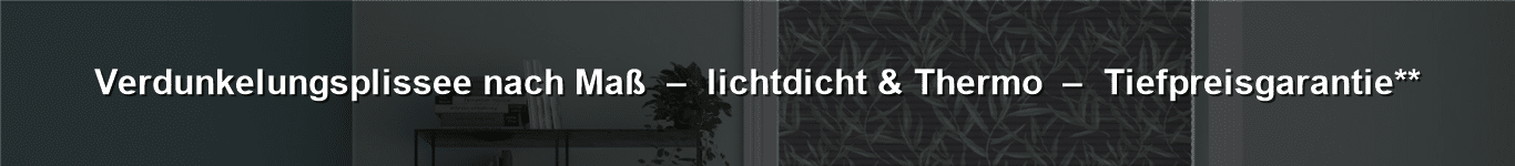 Verdunkelungsplissee nach Maß günstig vom Plissee Experten online für Fenster kaufen.