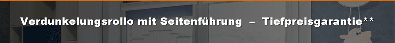 Rollos und Verdunkelungsrollos mit Seitenführung oder Seitenschienen nach Maß für innen kaufen.